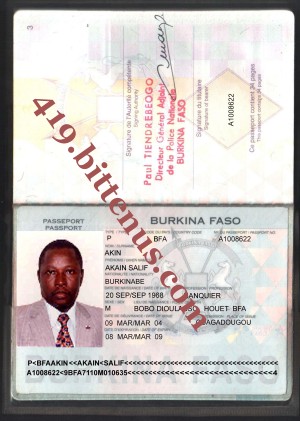 Akin international passport